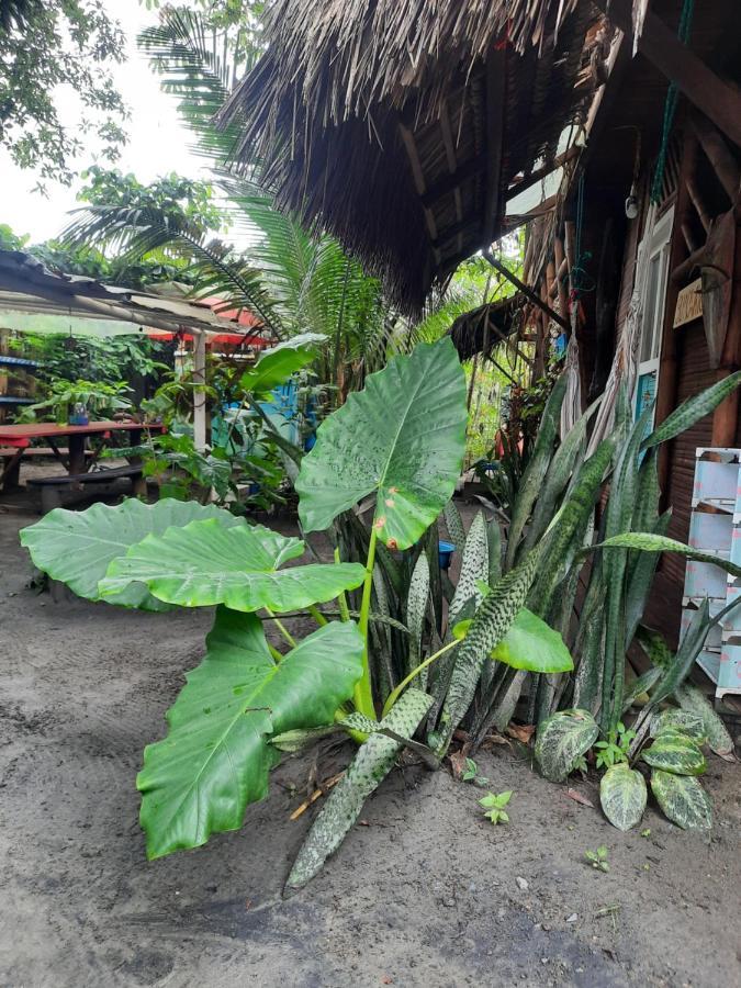 Raices Mompiche Hotel Exterior photo