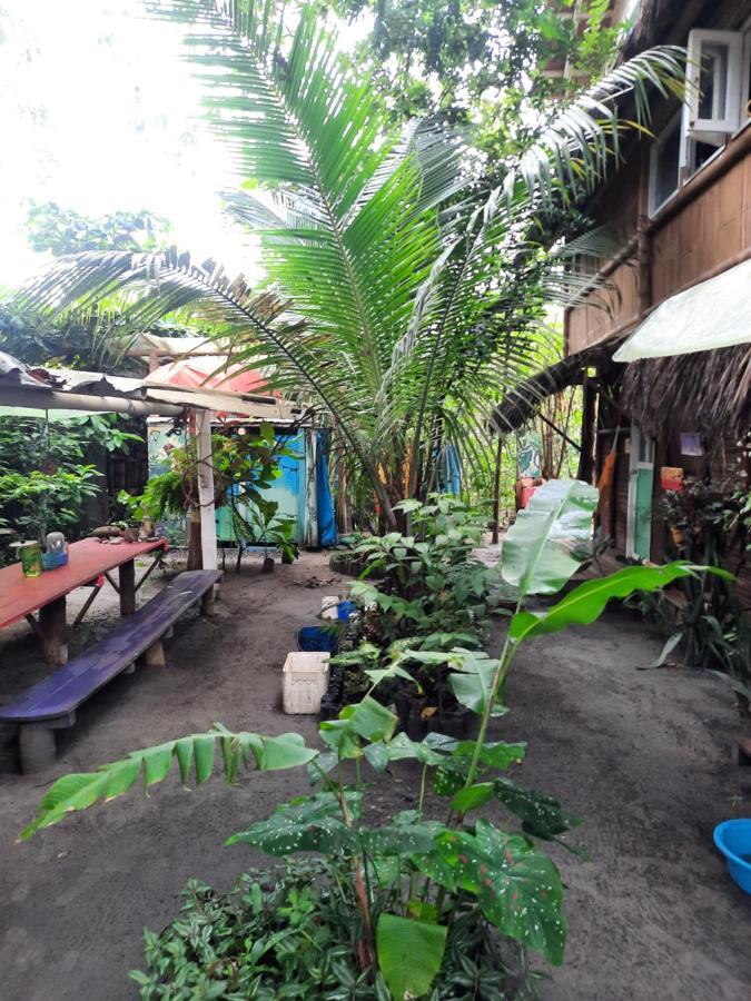 Raices Mompiche Hotel Exterior photo